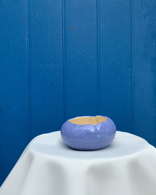 miska in blue